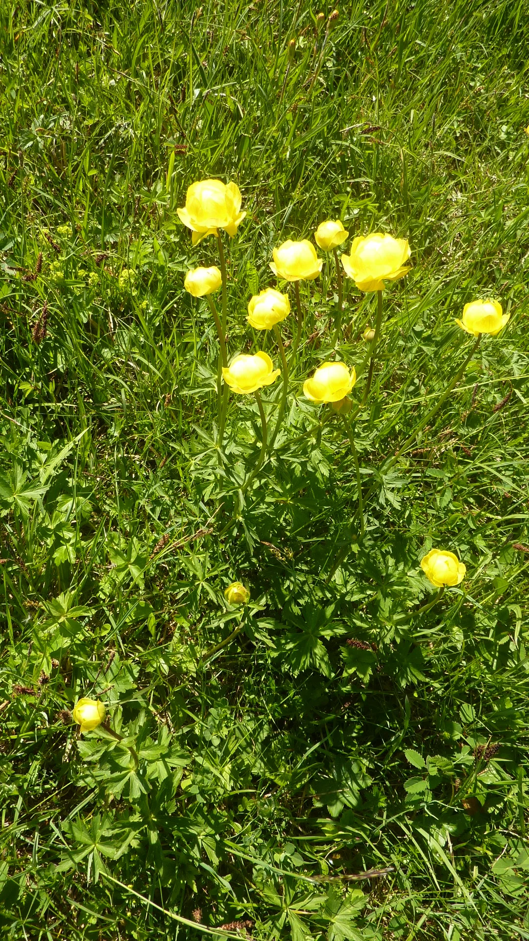 Tour Eisenberg Hohenfreyberg | © Max Bischofberger