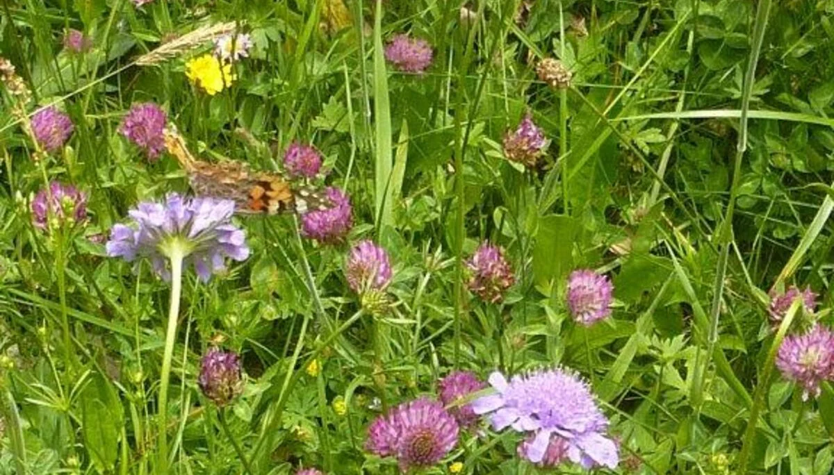 Tour Eisenberg Hohenfreyberg | © Max Bischofberger