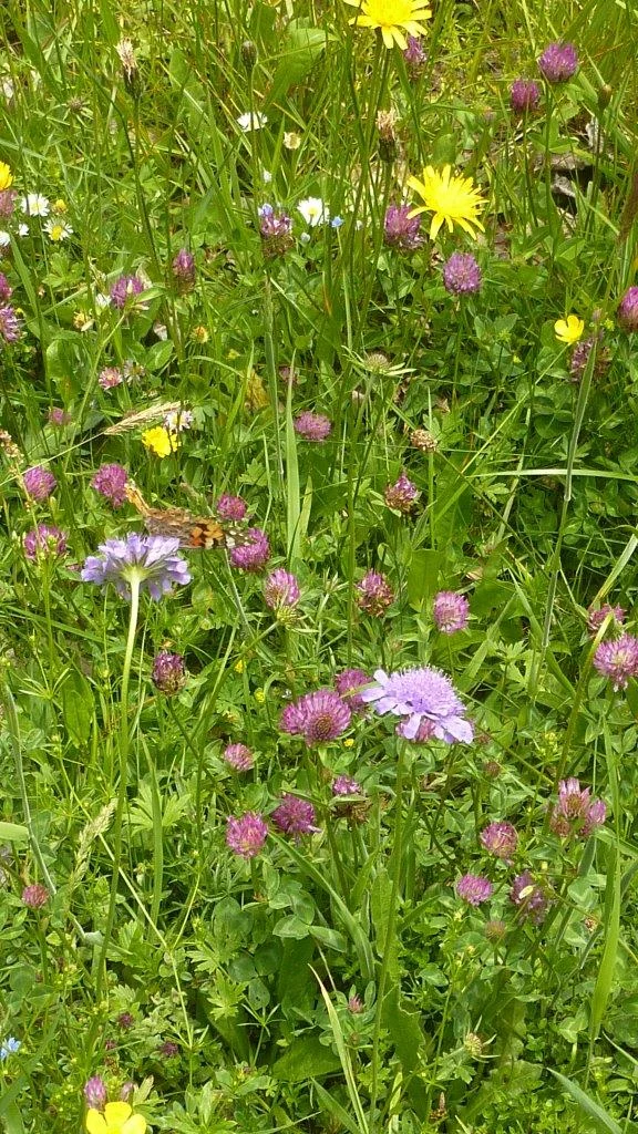 Tour Eisenberg Hohenfreyberg | © Max Bischofberger