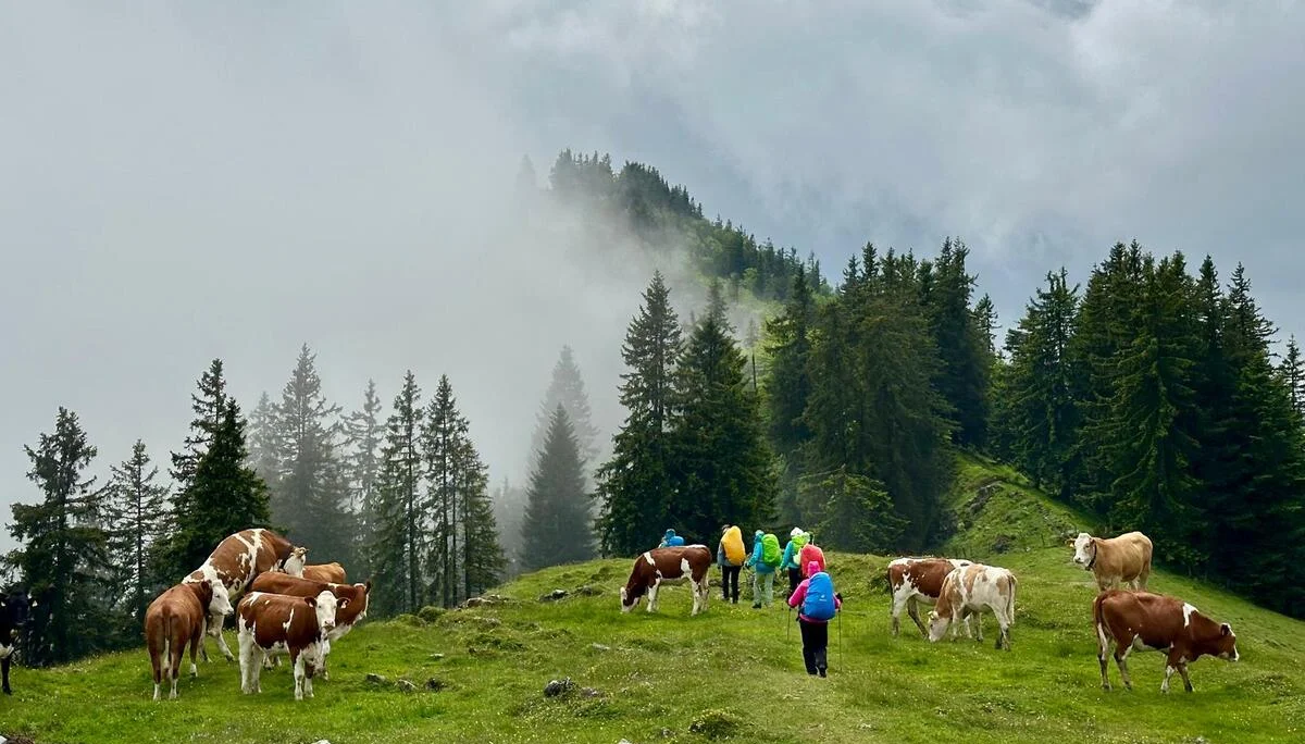 Chiemgautour | © DAV Wangen