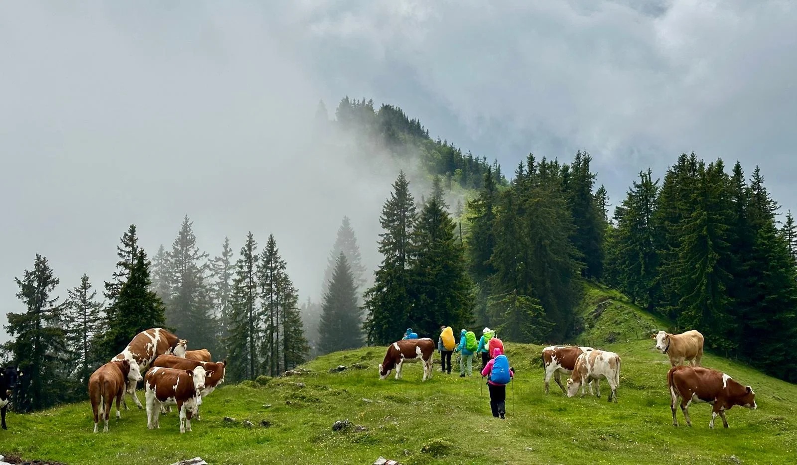 Chiemgautour | © DAV Wangen