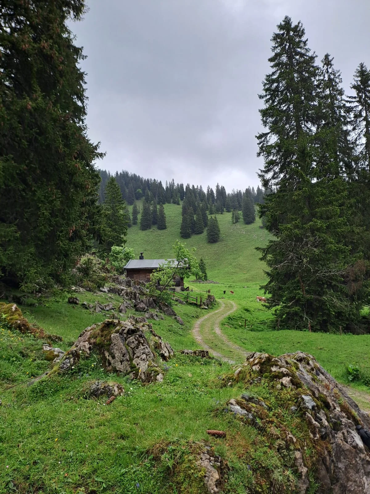 Chiemgautour | © DAV Wangen