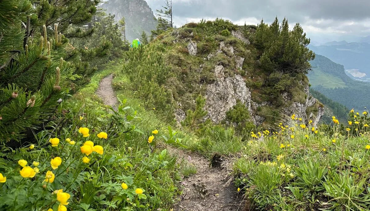 Chiemgautour | © DAV Wangen