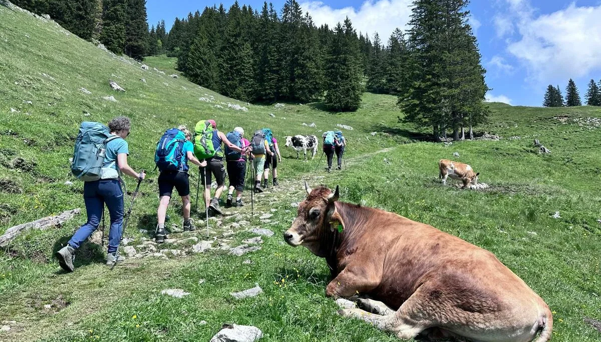Chiemgautour | © DAV Wangen