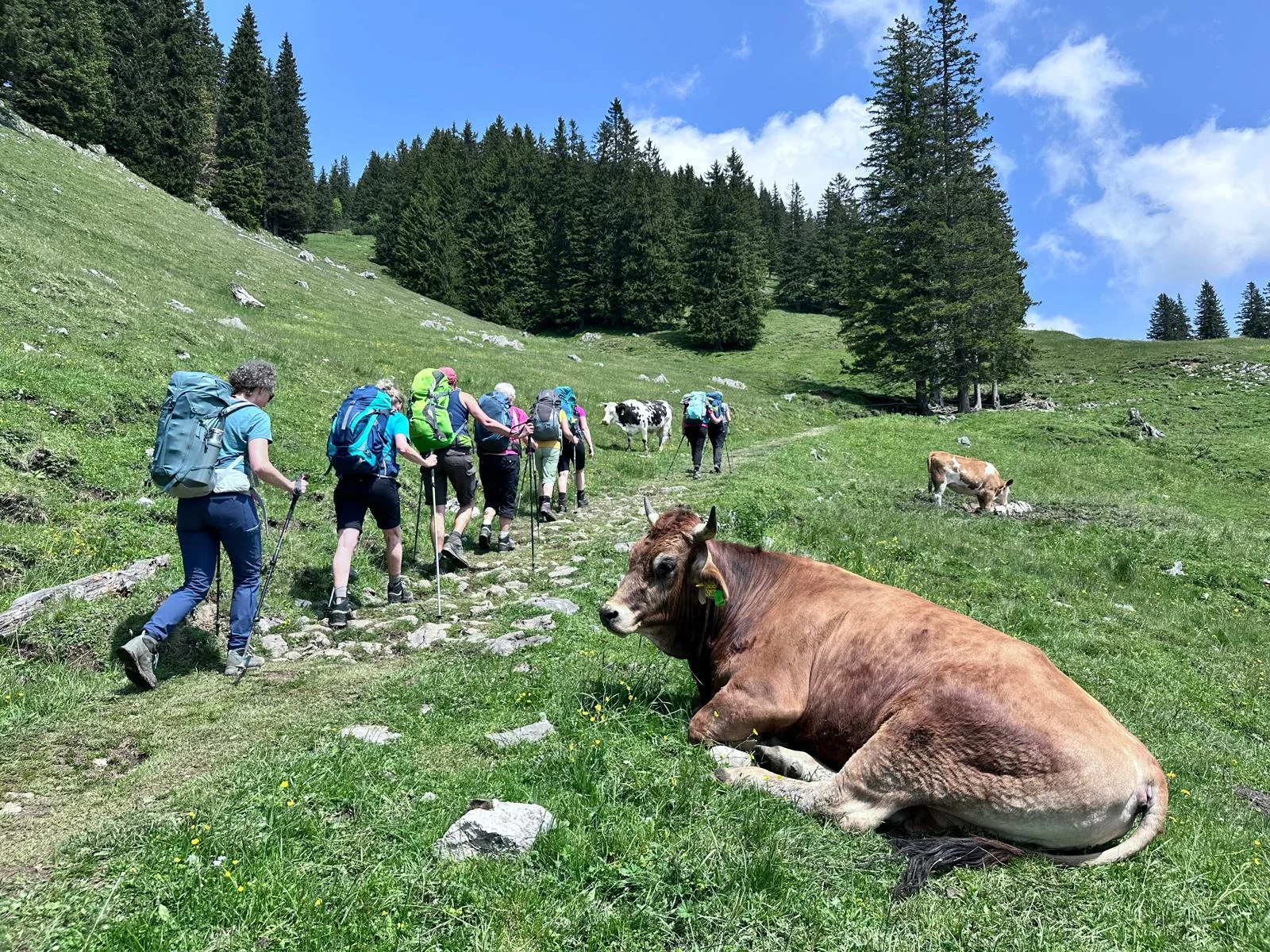 Chiemgautour | © DAV Wangen