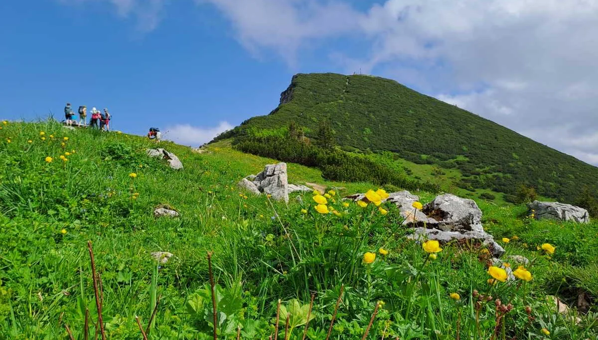 Chiemgautour | © DAV Wangen