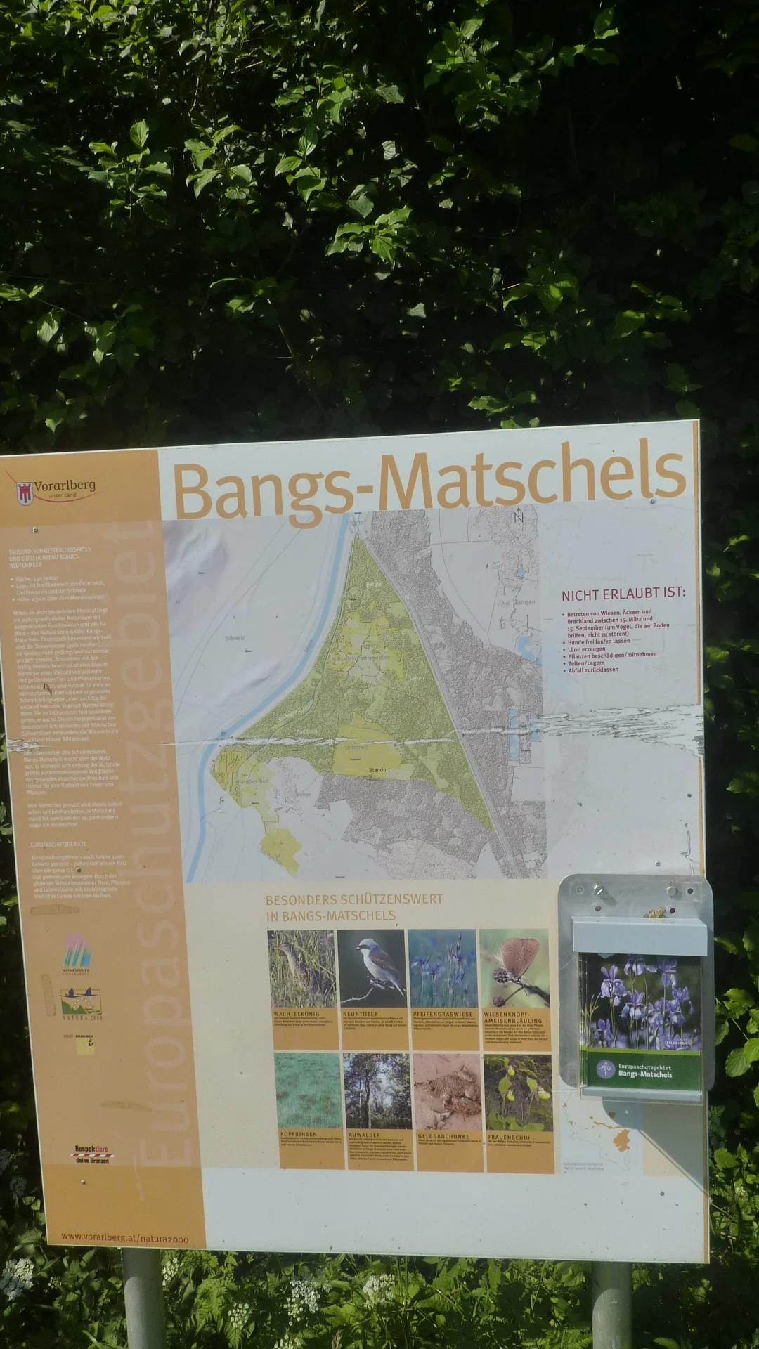 Naturschutzgebiet Bangs-Matschels | © Max Bischofberger