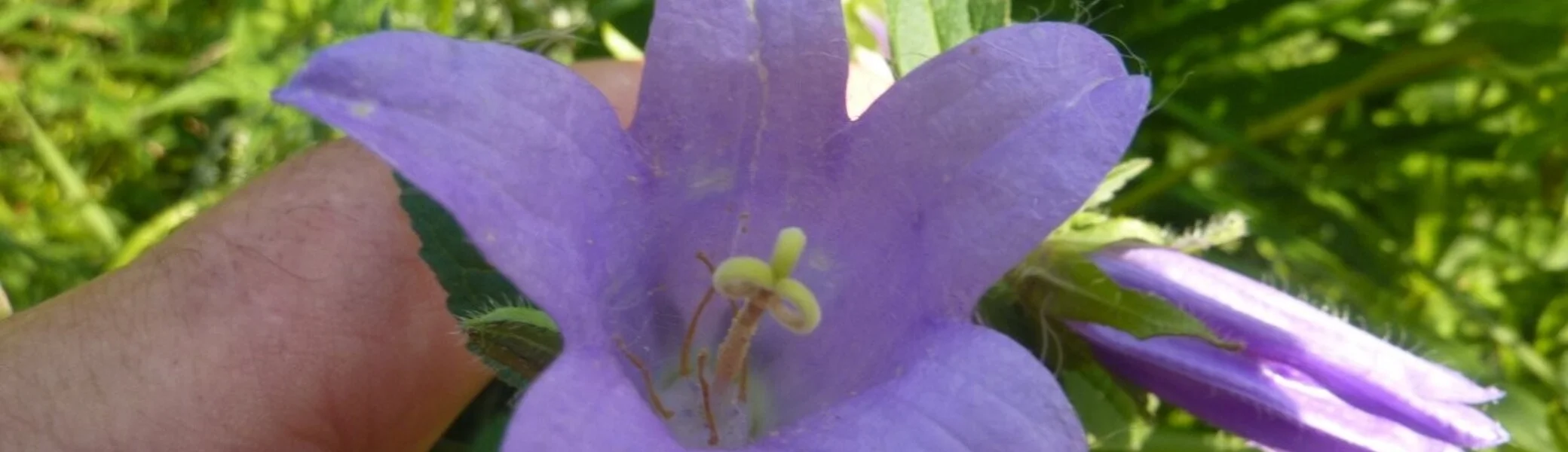 Naturschutzgebiet Bangs-Matschels | © Max Bischofberger