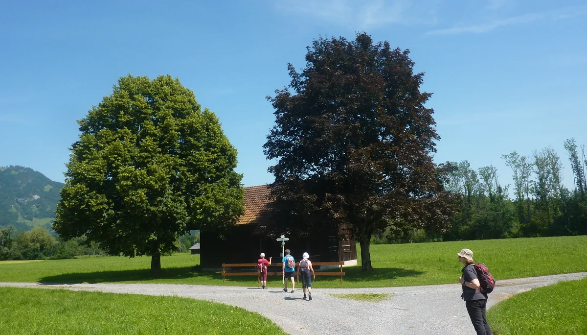 Naturschutzgebiet Bangs-Matschels | © Max Bischofberger