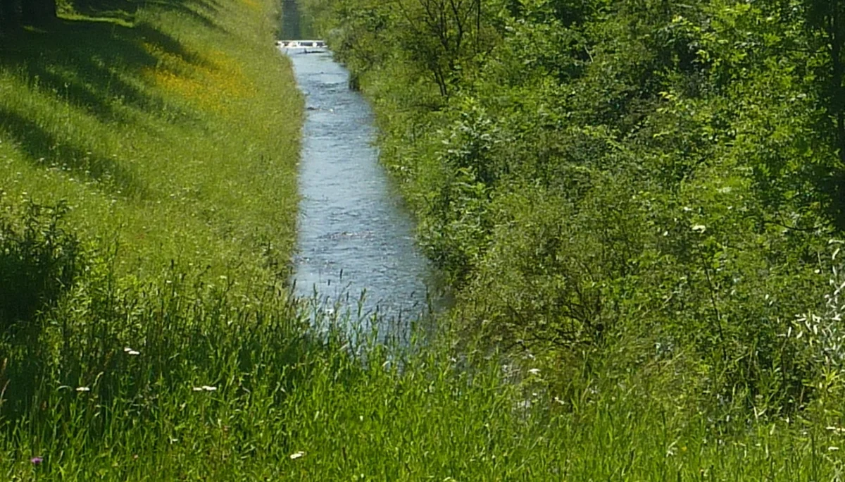 Naturschutzgebiet Bangs-Matschels | © Max Bischofberger