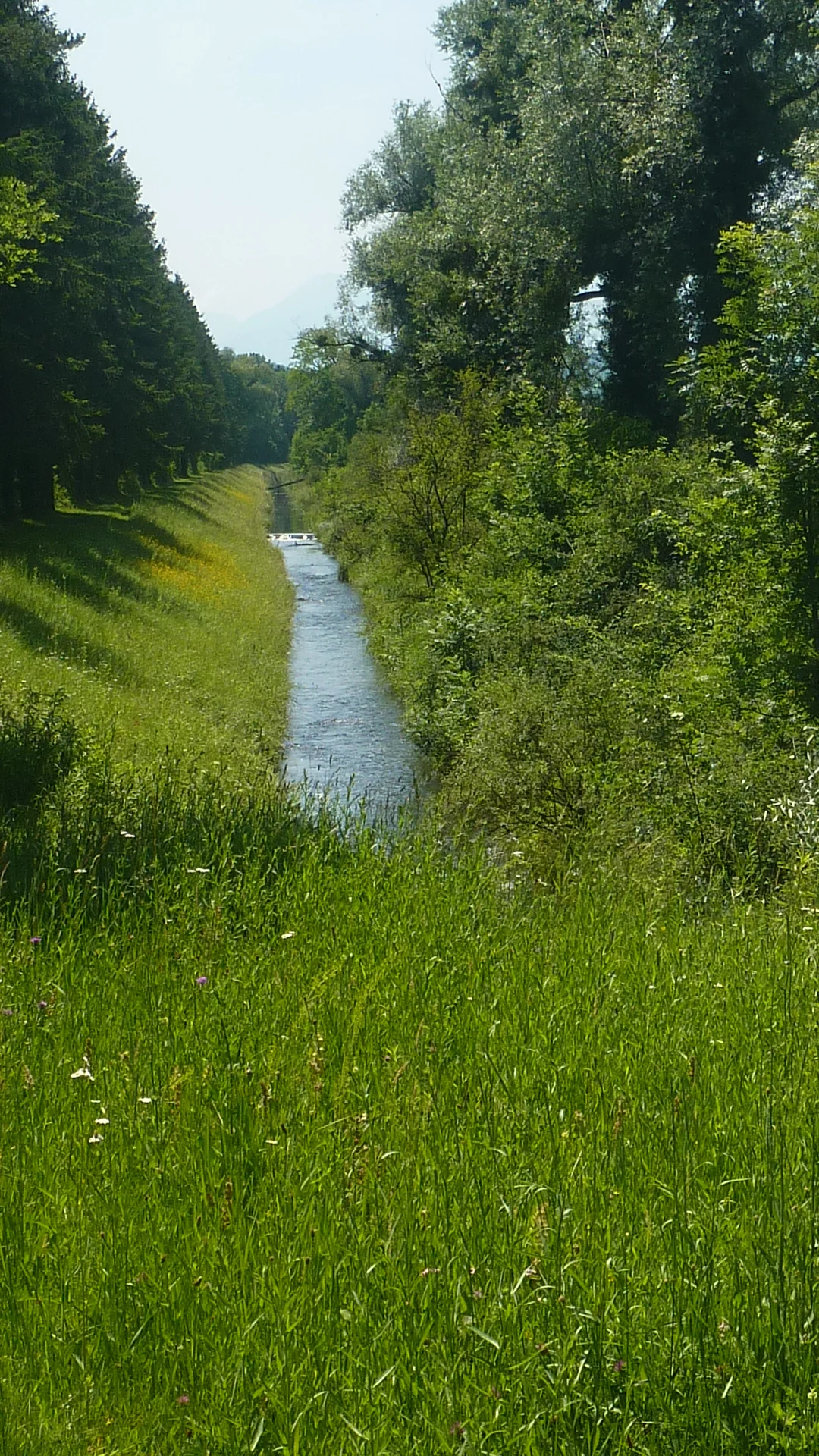 Naturschutzgebiet Bangs-Matschels | © Max Bischofberger
