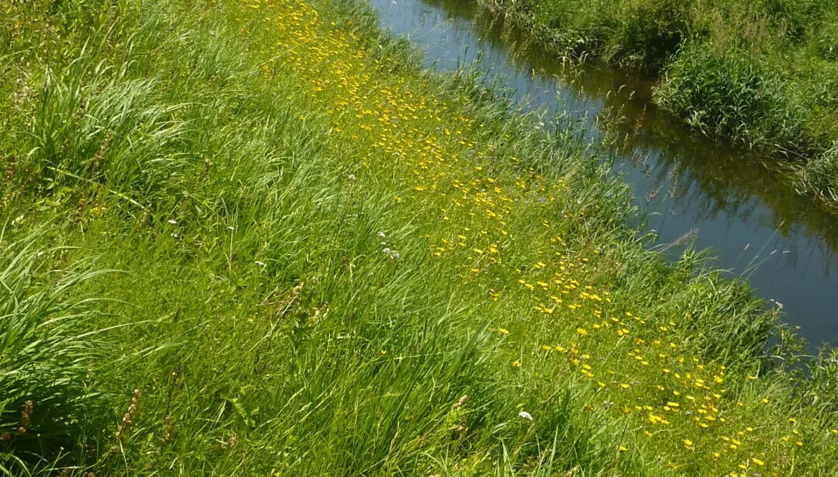 Naturschutzgebiet Bangs-Matschels | © Max Bischofberger