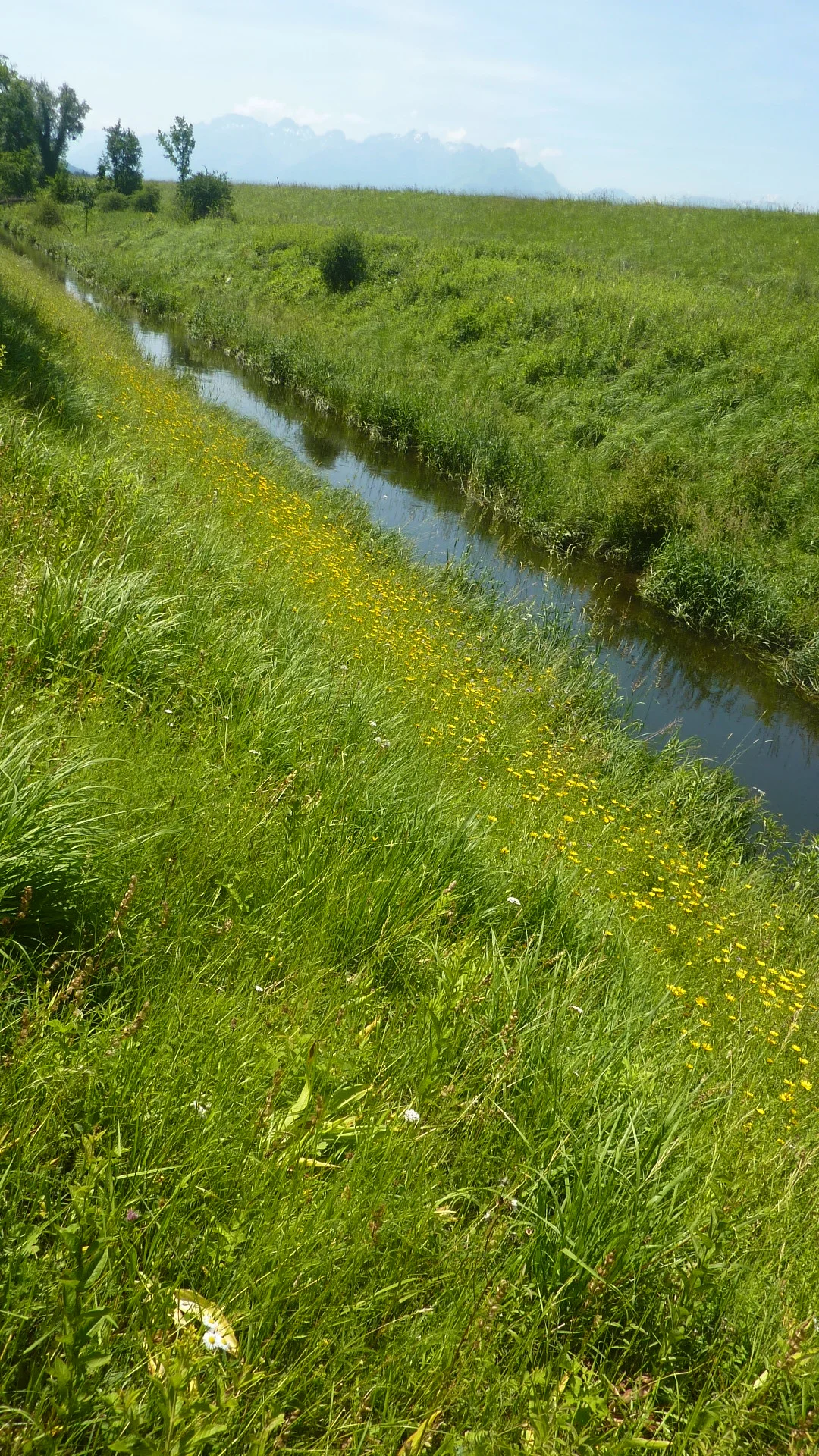 Naturschutzgebiet Bangs-Matschels | © Max Bischofberger