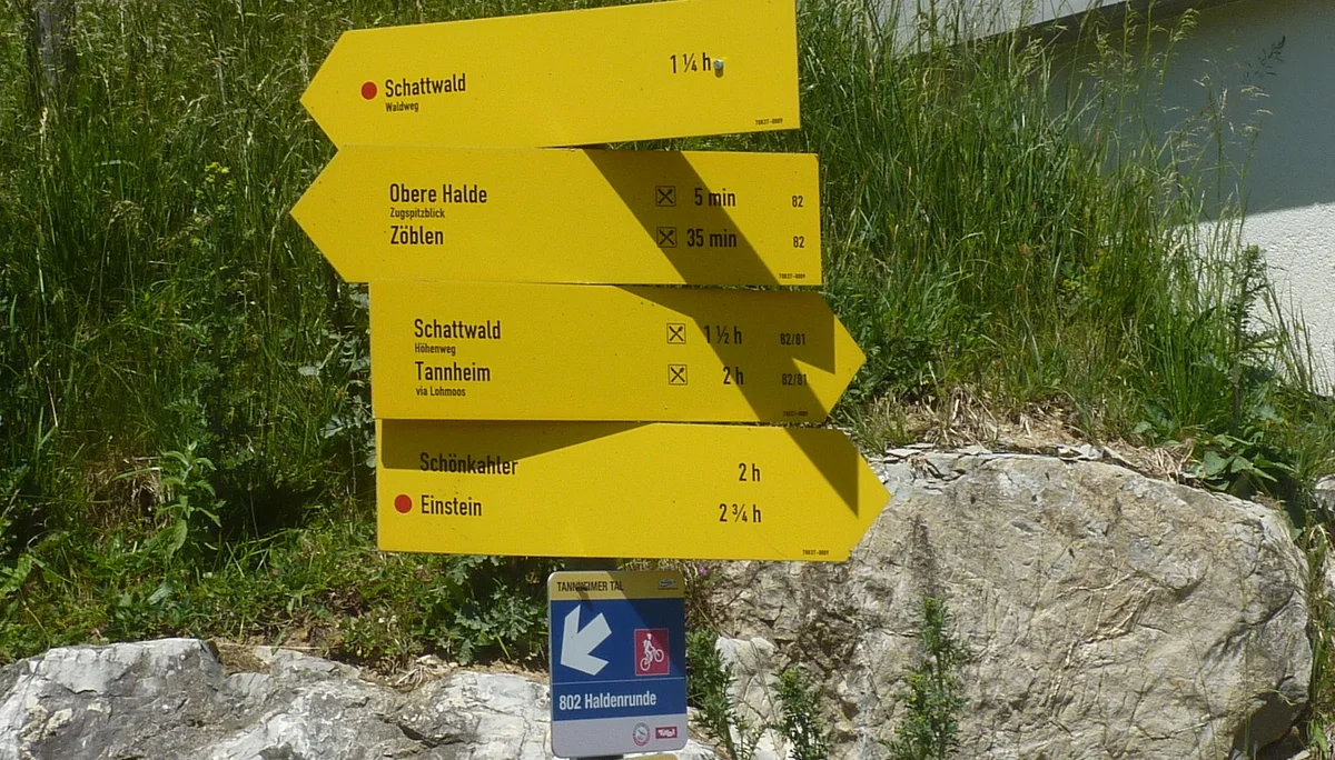 DAV-Senioren auf dem Schönkahler | © Max Bischofberger