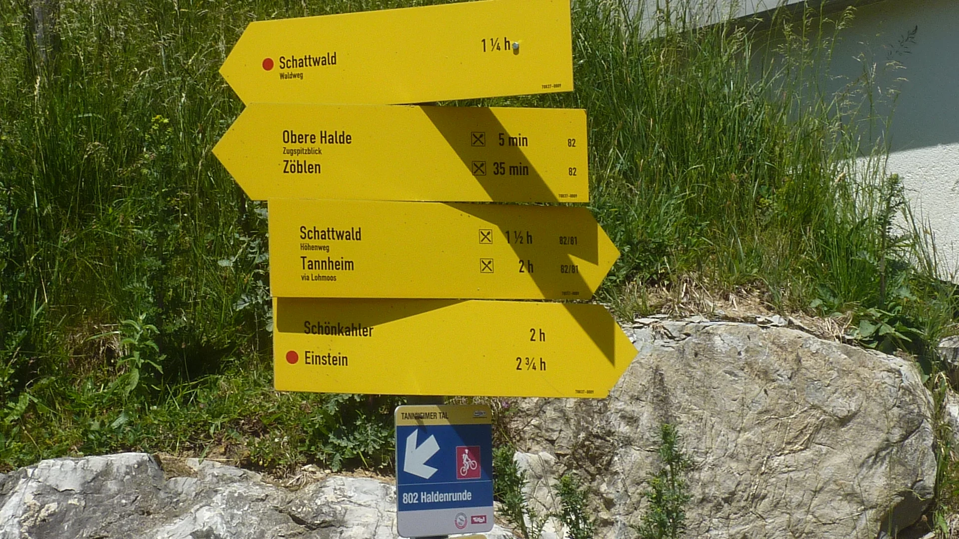 DAV-Senioren auf dem Schönkahler | © Max Bischofberger