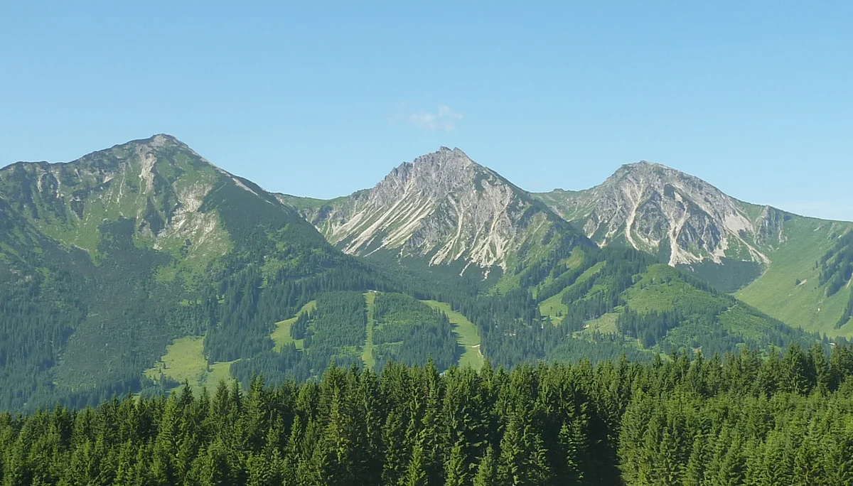 DAV-Senioren auf dem Schönkahler | © Max Bischofberger