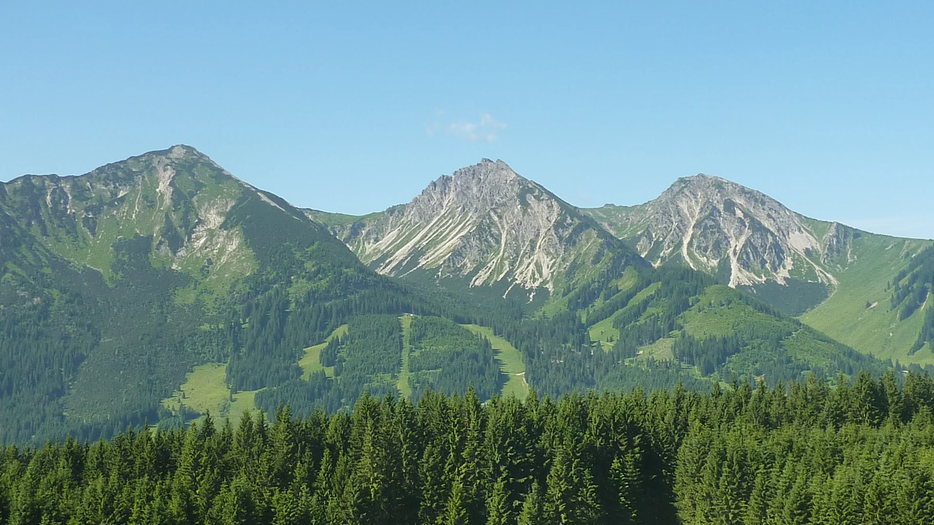 DAV-Senioren auf dem Schönkahler | © Max Bischofberger