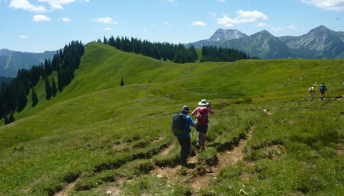 DAV-Senioren auf dem Schönkahler | © Max Bischofberger