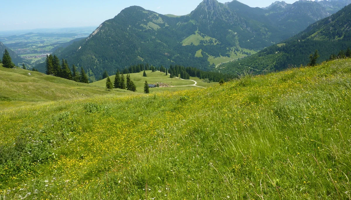 DAV-Senioren auf dem Schönkahler | © Max Bischofberger
