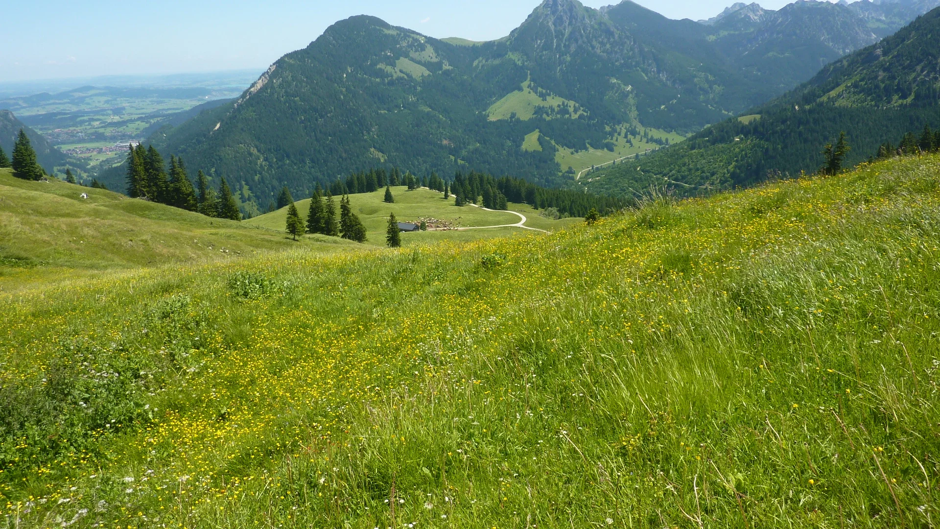 DAV-Senioren auf dem Schönkahler | © Max Bischofberger