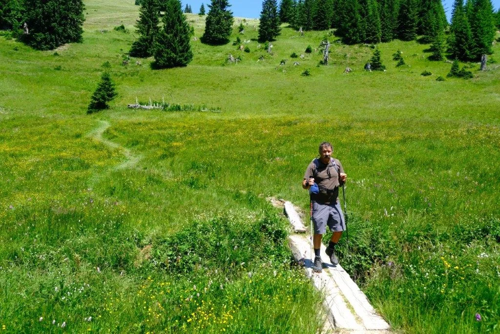 DAV-Senioren auf dem Schönkahler | © Max Bischofberger