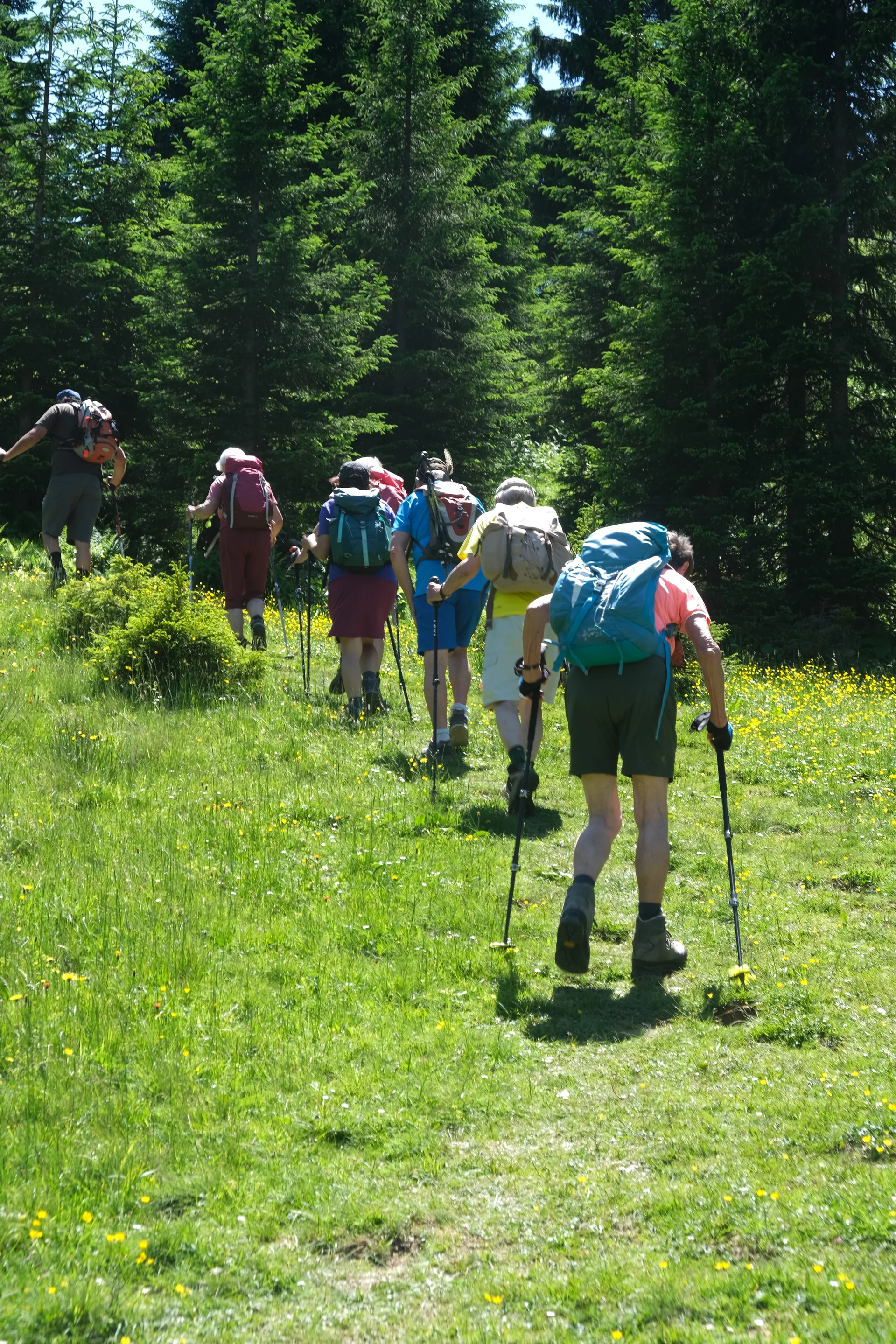 DAV-Senioren auf dem Schönkahler | © Peter Jäck