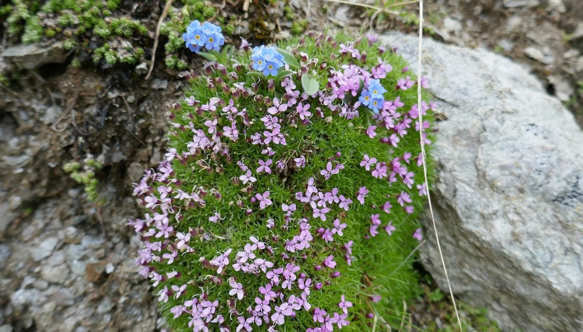 Karnischen Höhenweg  | © Klaus Kunigham