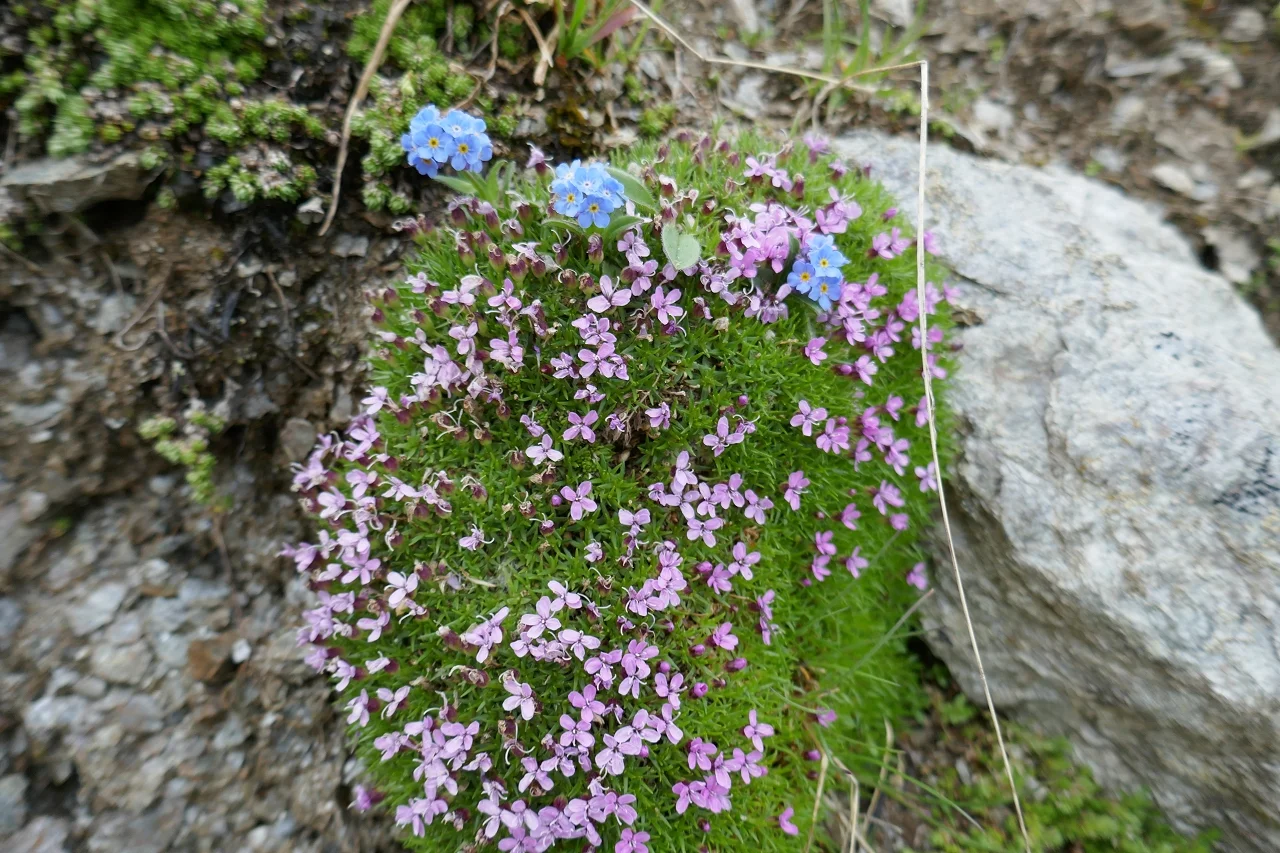 Karnischen Höhenweg  | © Klaus Kunigham