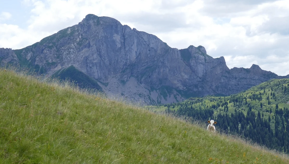 Karnischen Höhenweg  | © Klaus Kunigham