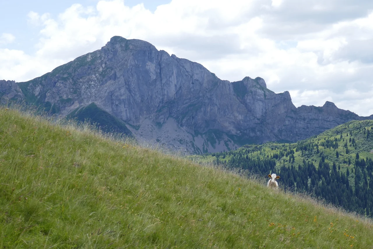 Karnischen Höhenweg  | © Klaus Kunigham