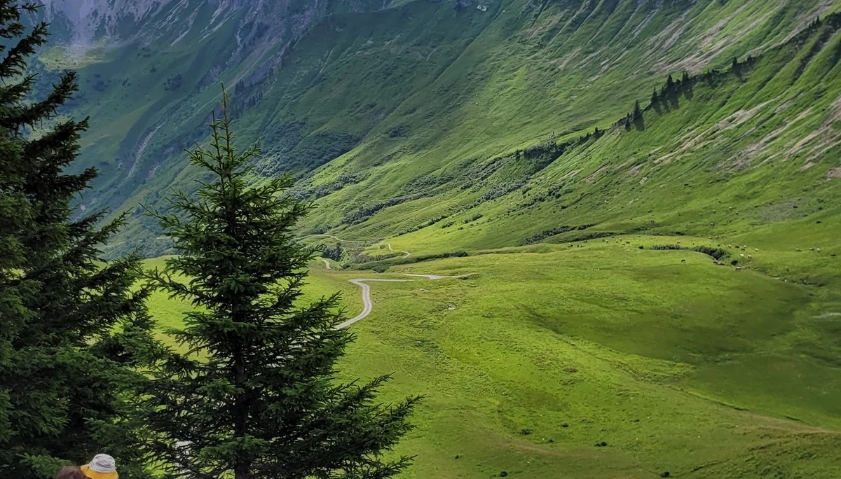 Geologische Bergwanderung zum Zafernhorn | © Rainer Willibald