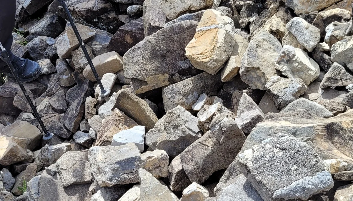 Geologische Bergwanderung zum Zafernhorn | © Rainer Willibald