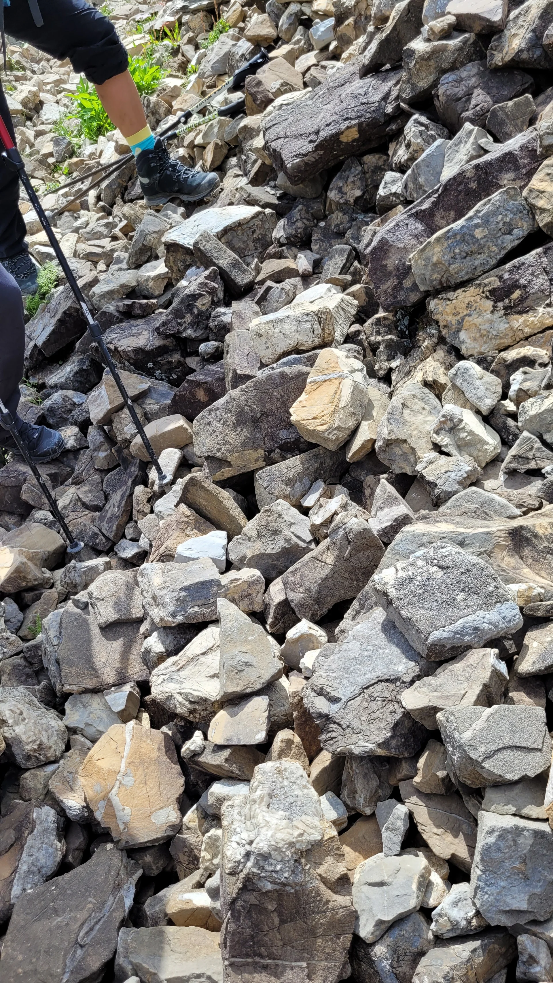 Geologische Bergwanderung zum Zafernhorn | © Rainer Willibald