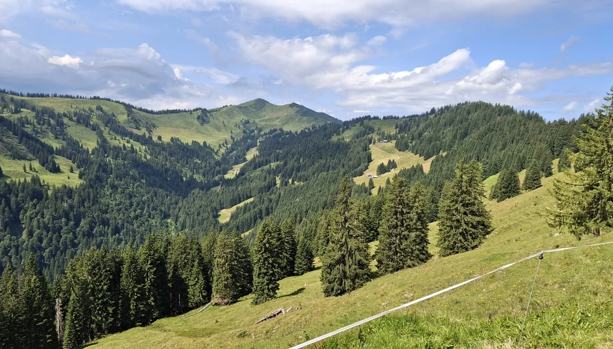 Inclusive Wanderung auf das Riedberger Horn | © Marcus Gutfrucht