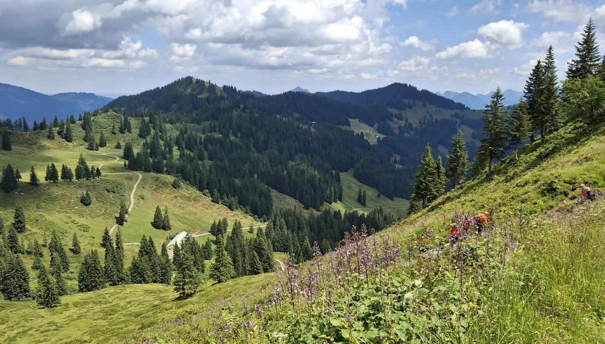 Inclusive Wanderung auf das Riedberger Horn | © Marcus Gutfrucht