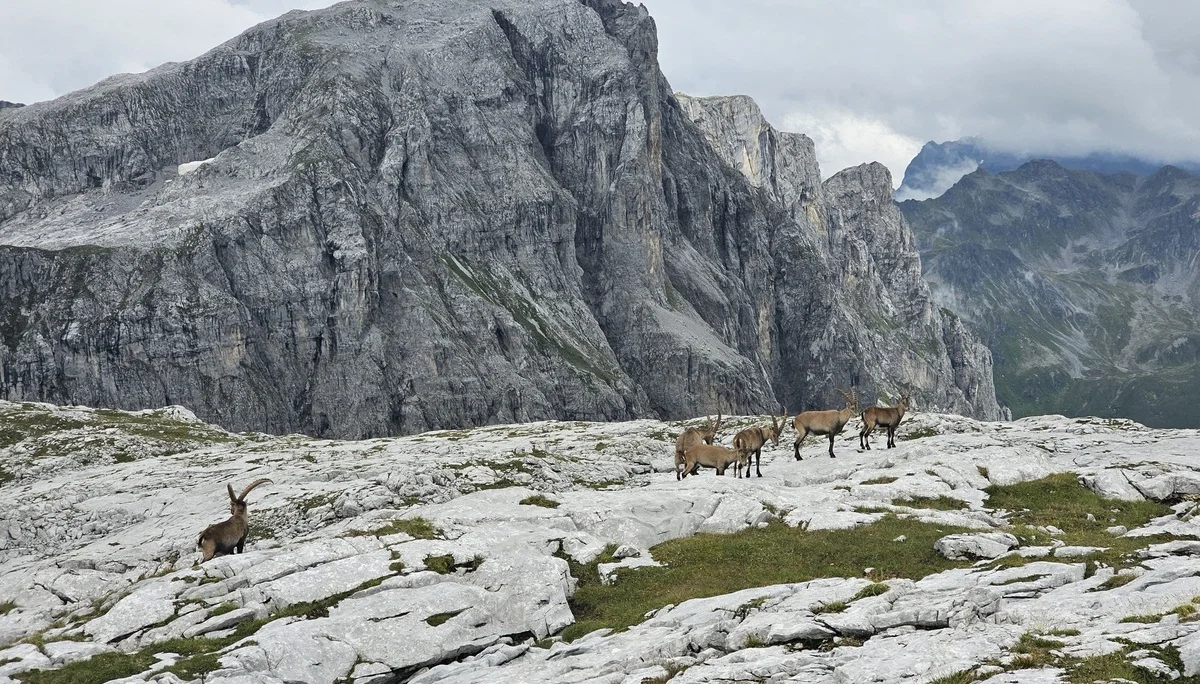 Hüttenwanderung im Montafon | © DAV Wangen