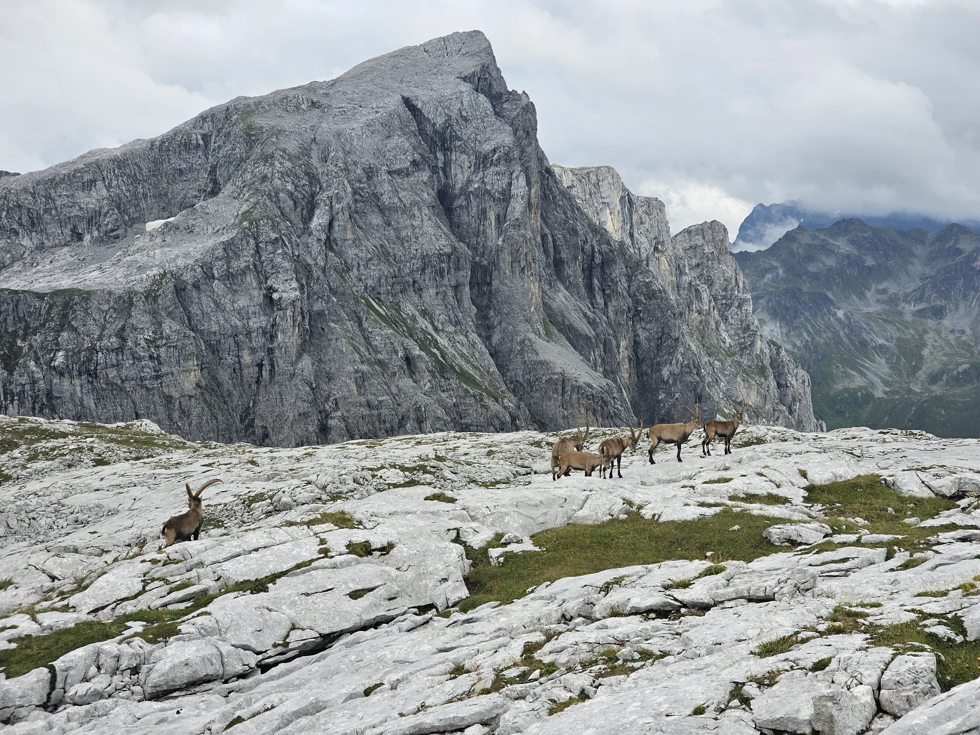 Hüttenwanderung im Montafon | © DAV Wangen