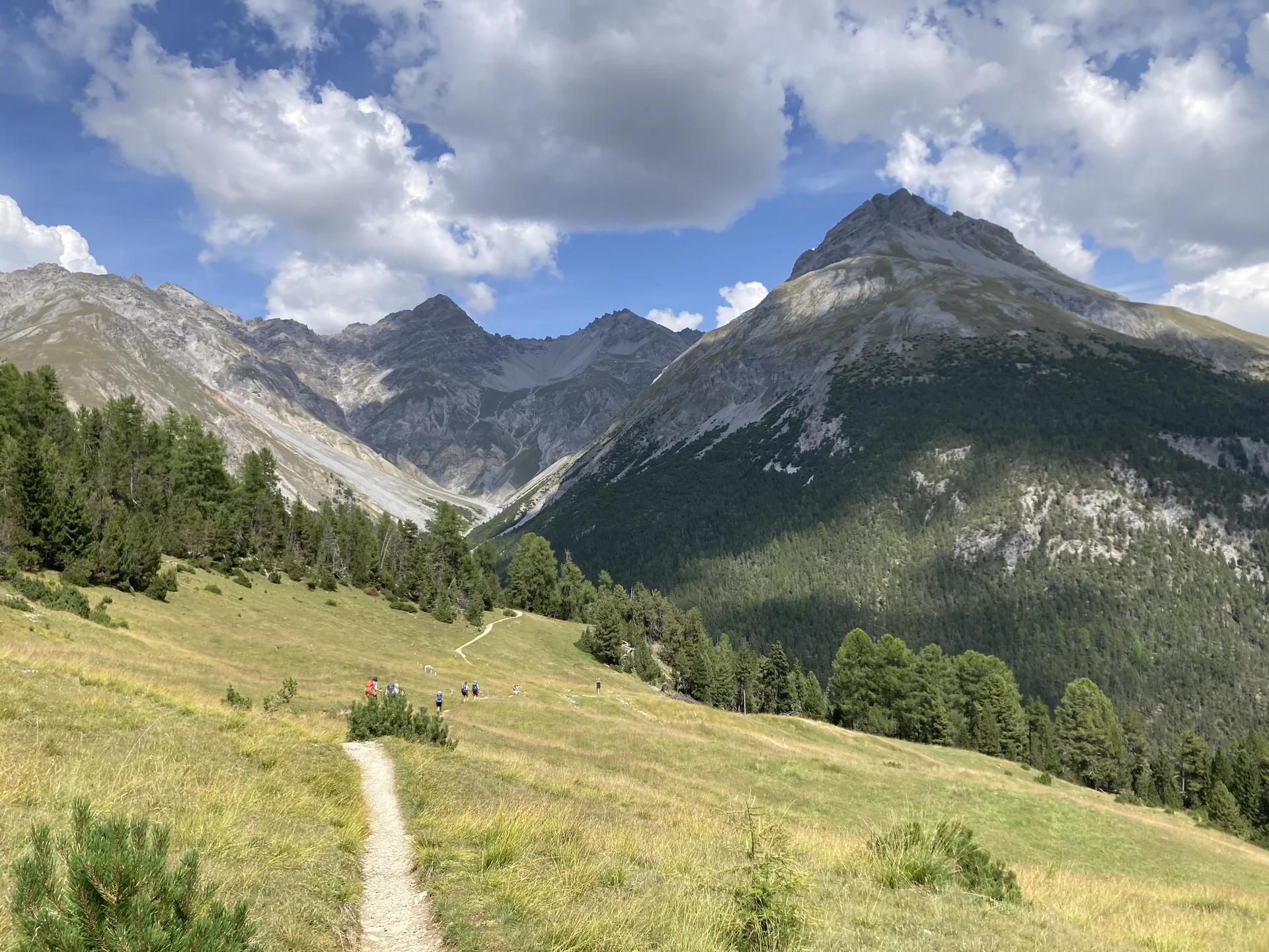 Durch den Schweizer Nationalpark | © Dieter Henninger