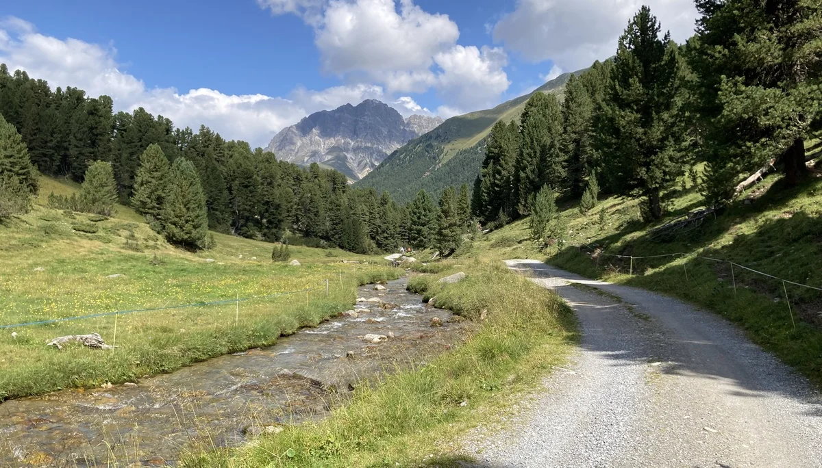 Durch den Schweizer Nationalpark | © Dieter Henninger
