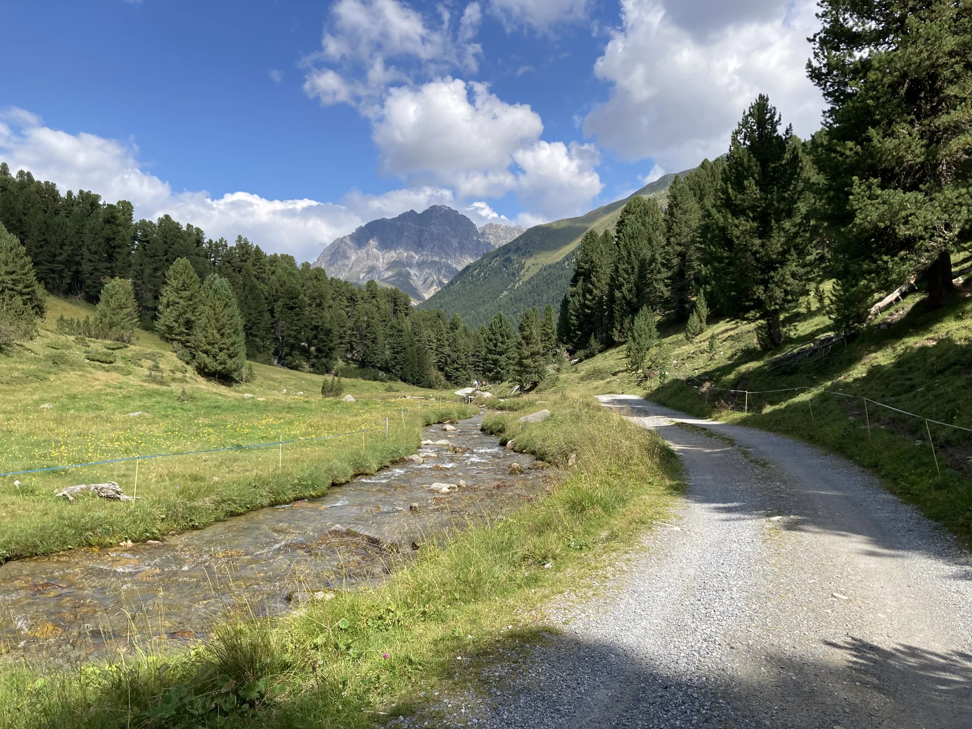 Durch den Schweizer Nationalpark | © Dieter Henninger