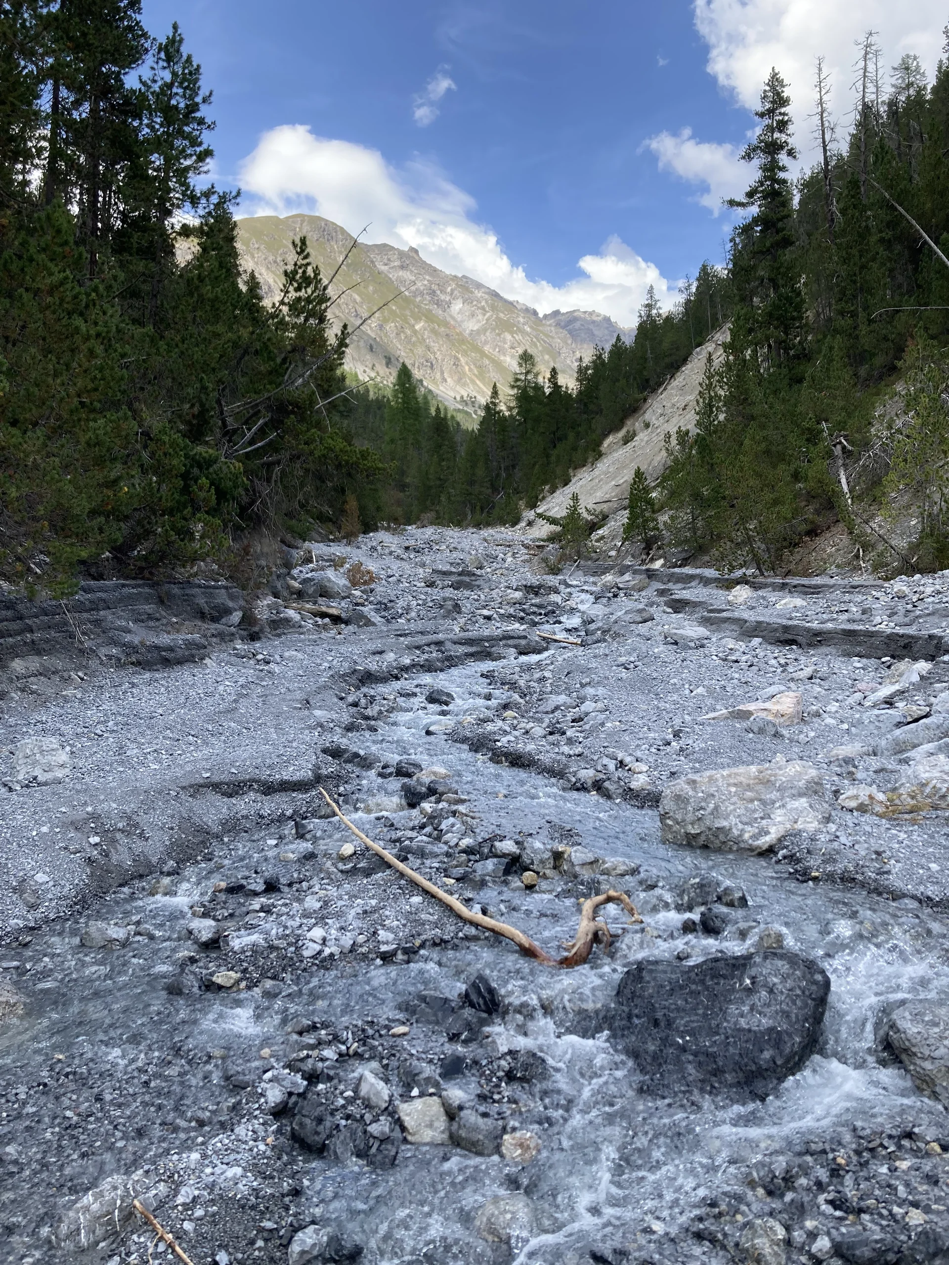 Durch den Schweizer Nationalpark | © Dieter Henninger