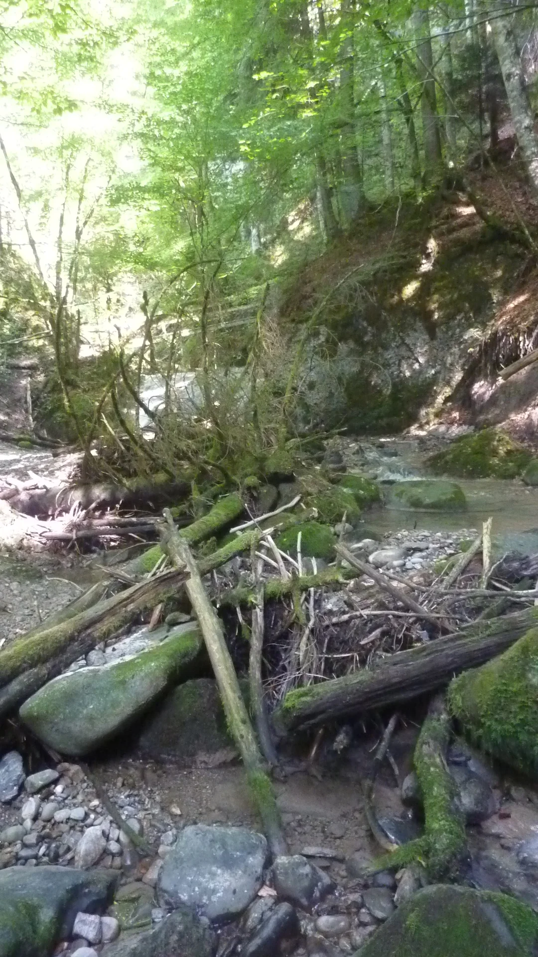 Vom Falltobel zum Stoffelberg | © Max Bischofberger
