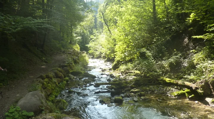 Vom Falltobel zum Stoffelberg | © Max Bischofberger