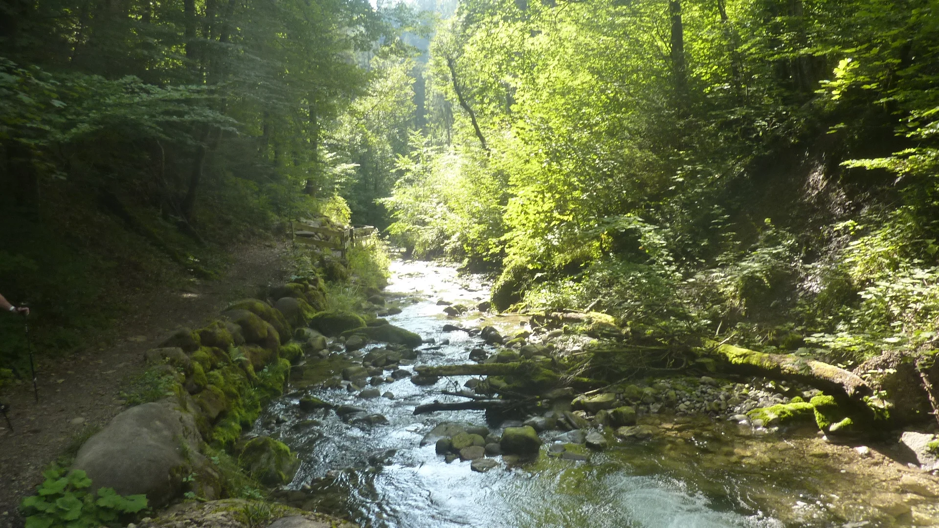 Vom Falltobel zum Stoffelberg | © Max Bischofberger