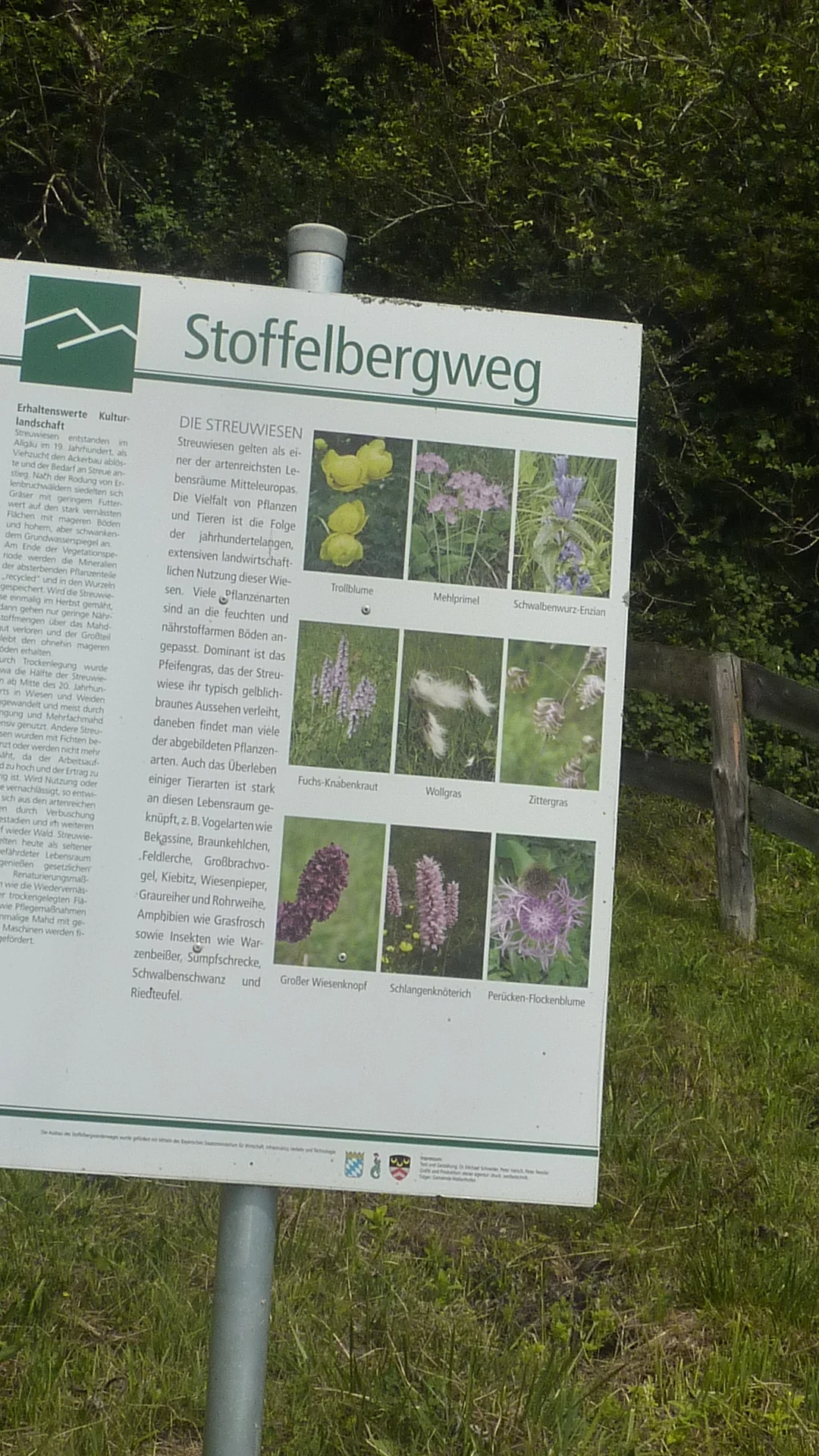 Vom Falltobel zum Stoffelberg | © Max Bischofberger