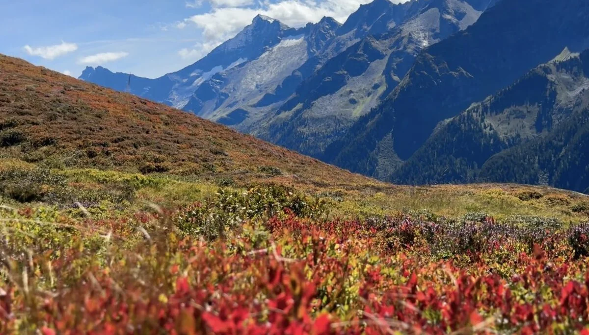 Bergwoche 2025 in Finkenberg/Zillertal | © Otmar Schneider
