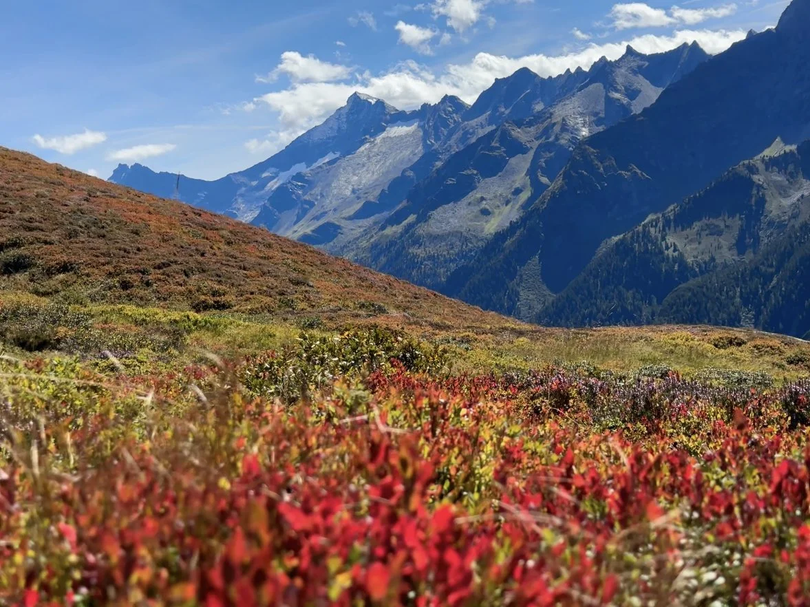 Bergwoche 2025 in Finkenberg/Zillertal | © Otmar Schneider