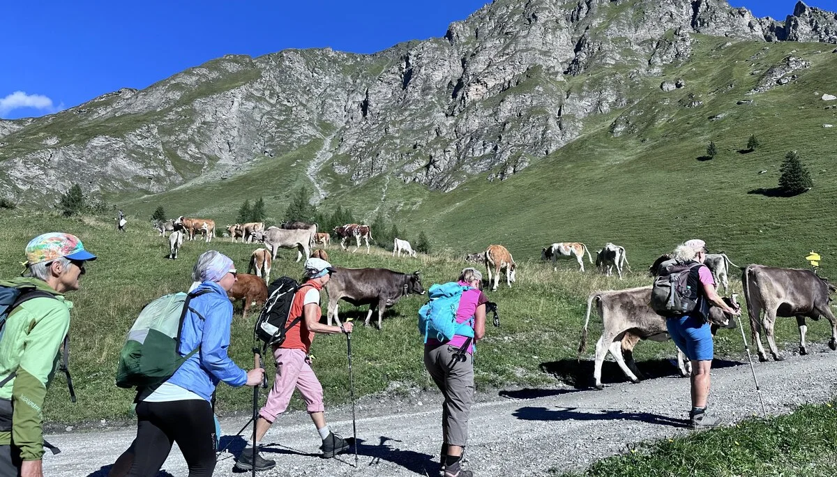 Bergwoche 2025 in Finkenberg/Zillertal | © Otmar Schneider