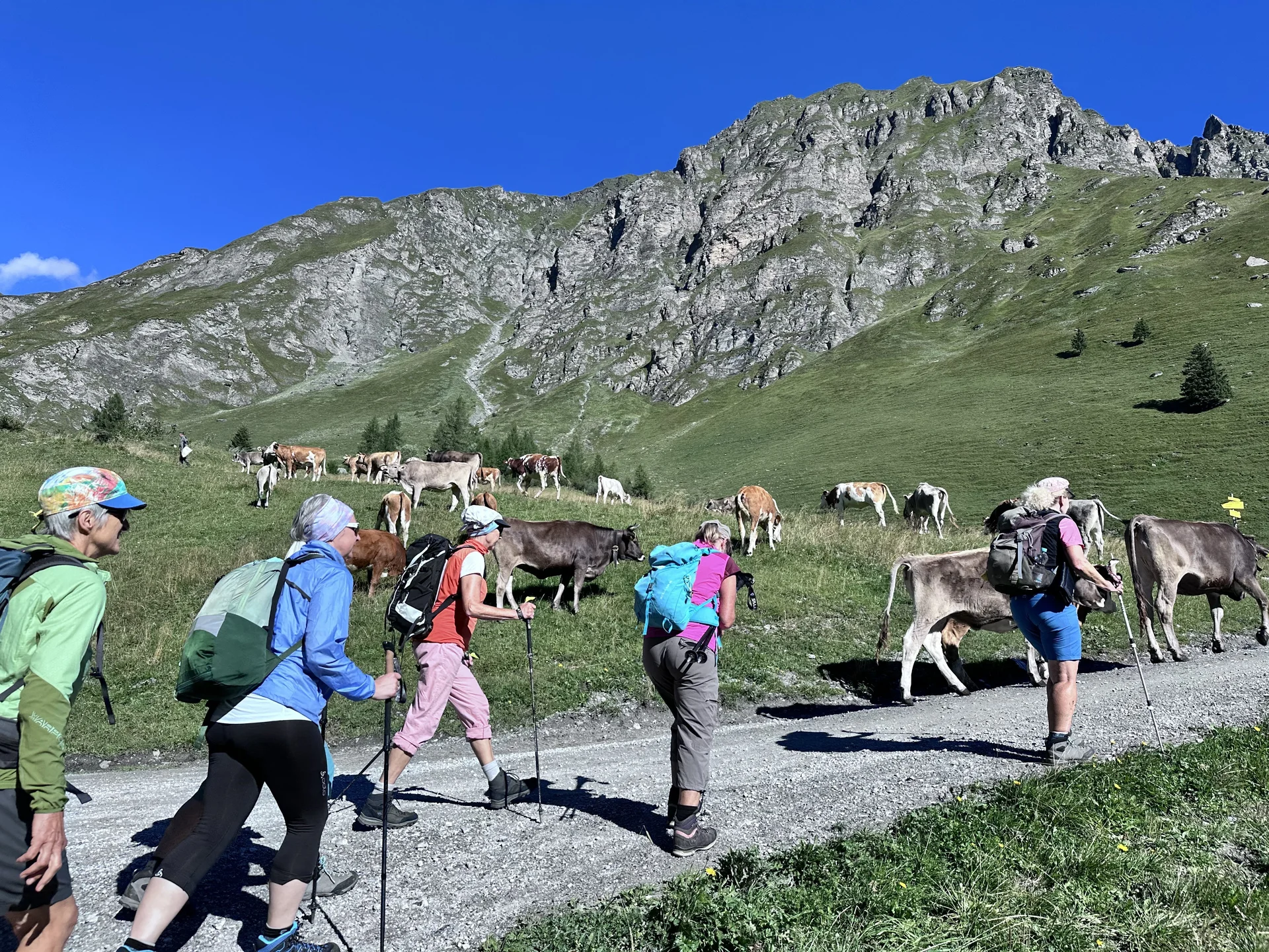 Bergwoche 2025 in Finkenberg/Zillertal | © Otmar Schneider