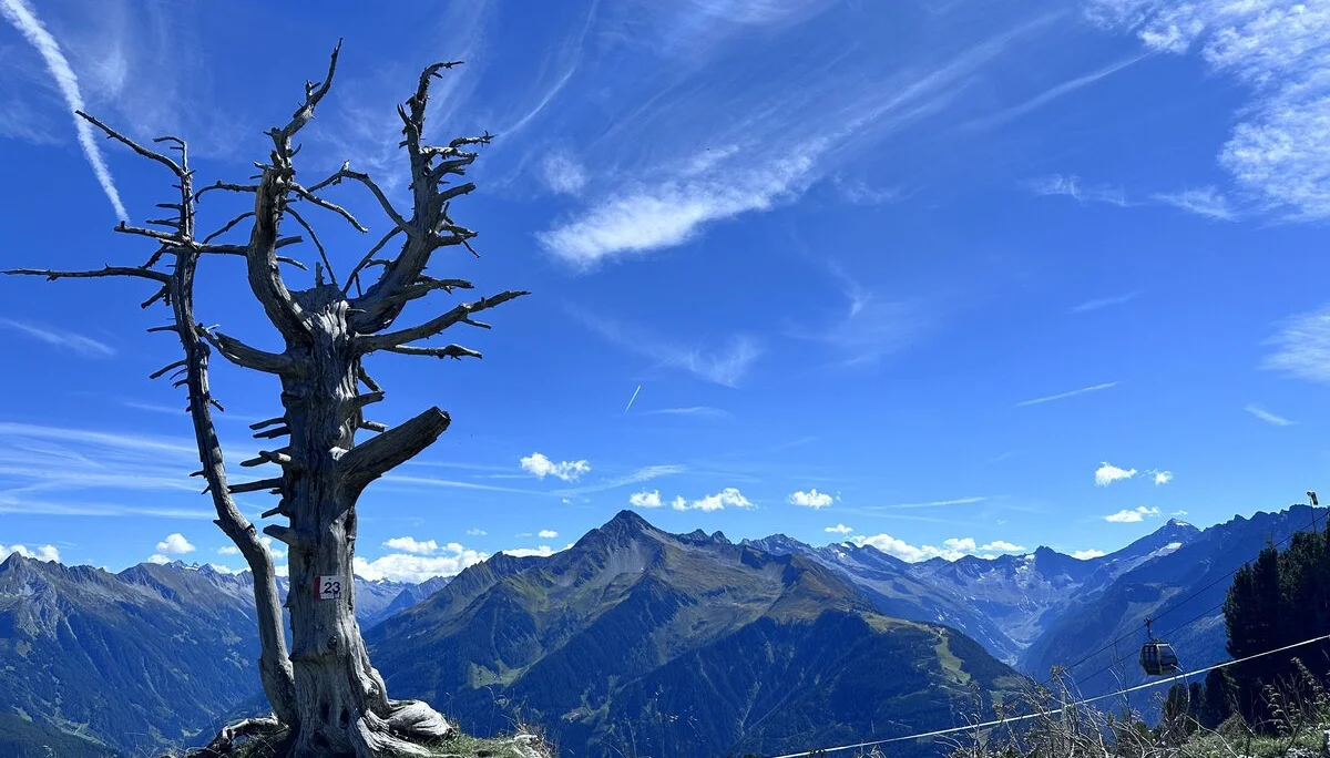 Bergwoche 2025 in Finkenberg/Zillertal | © Otmar Schneider